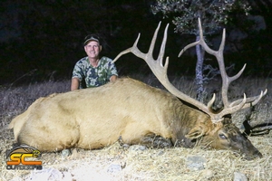 A 2020 Rocky Mountain Elk taken with SC2 Outdoors in Northern California on a Private Lands Management Tag